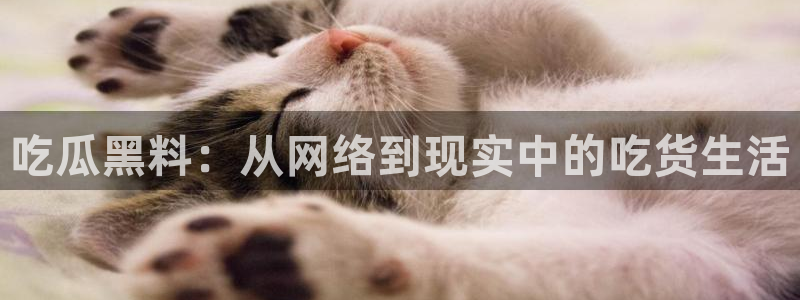 社会热点来源梳理