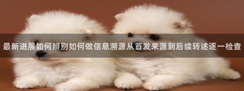 网络热点热点汇总