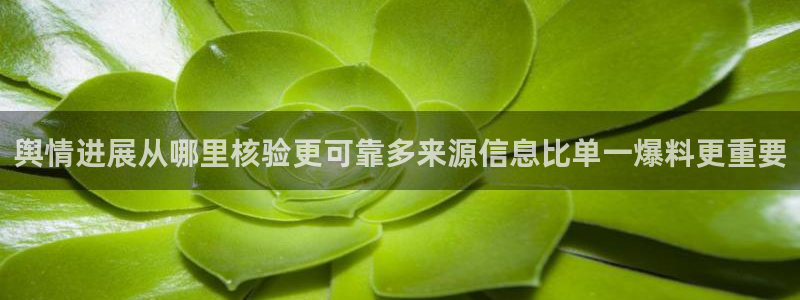 直播吃瓜今日更新