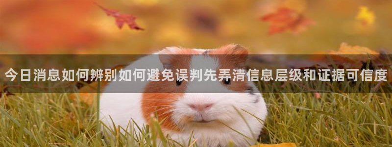 理性吃瓜原始出处