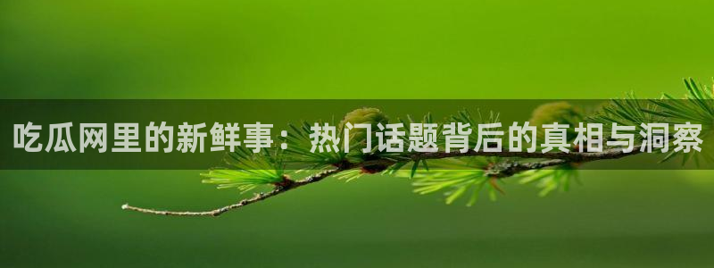 吃瓜信息核验