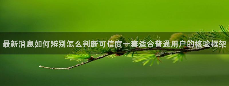 网红吃瓜完整时间线