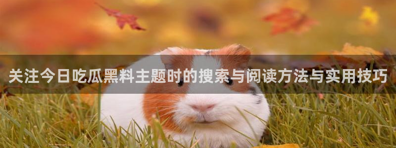吃瓜真相热点汇总