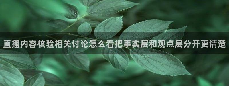 网红吃瓜信息核验