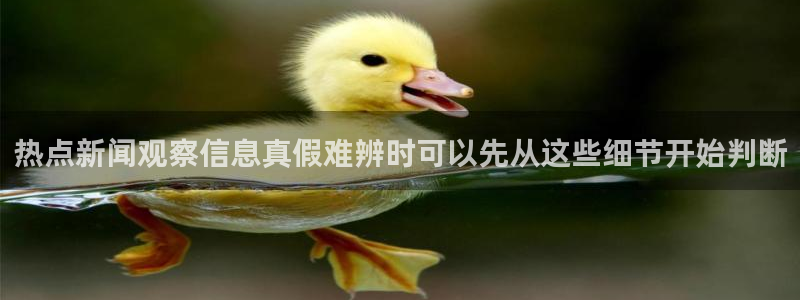 吃瓜真相公开回应