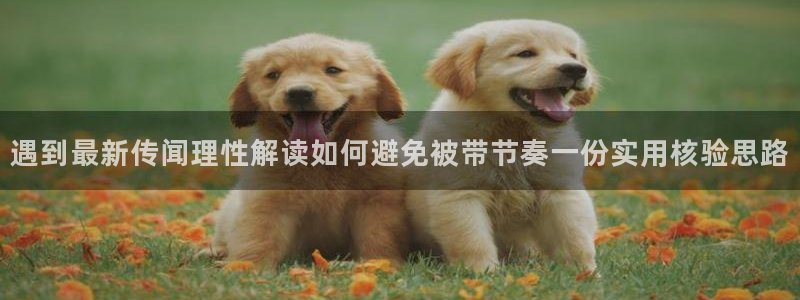 网红吃瓜最新消息